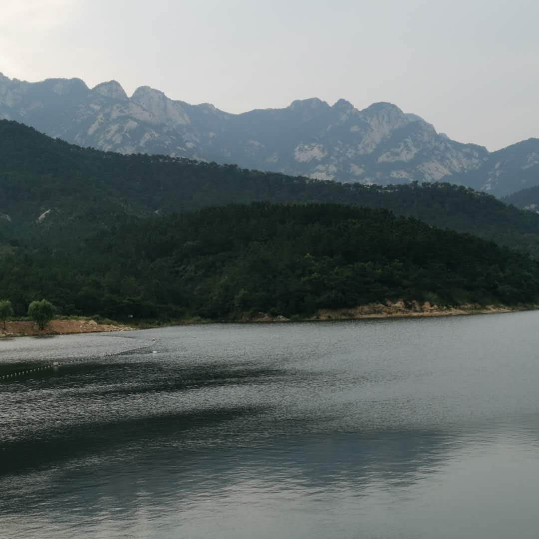 cnyjfs.com