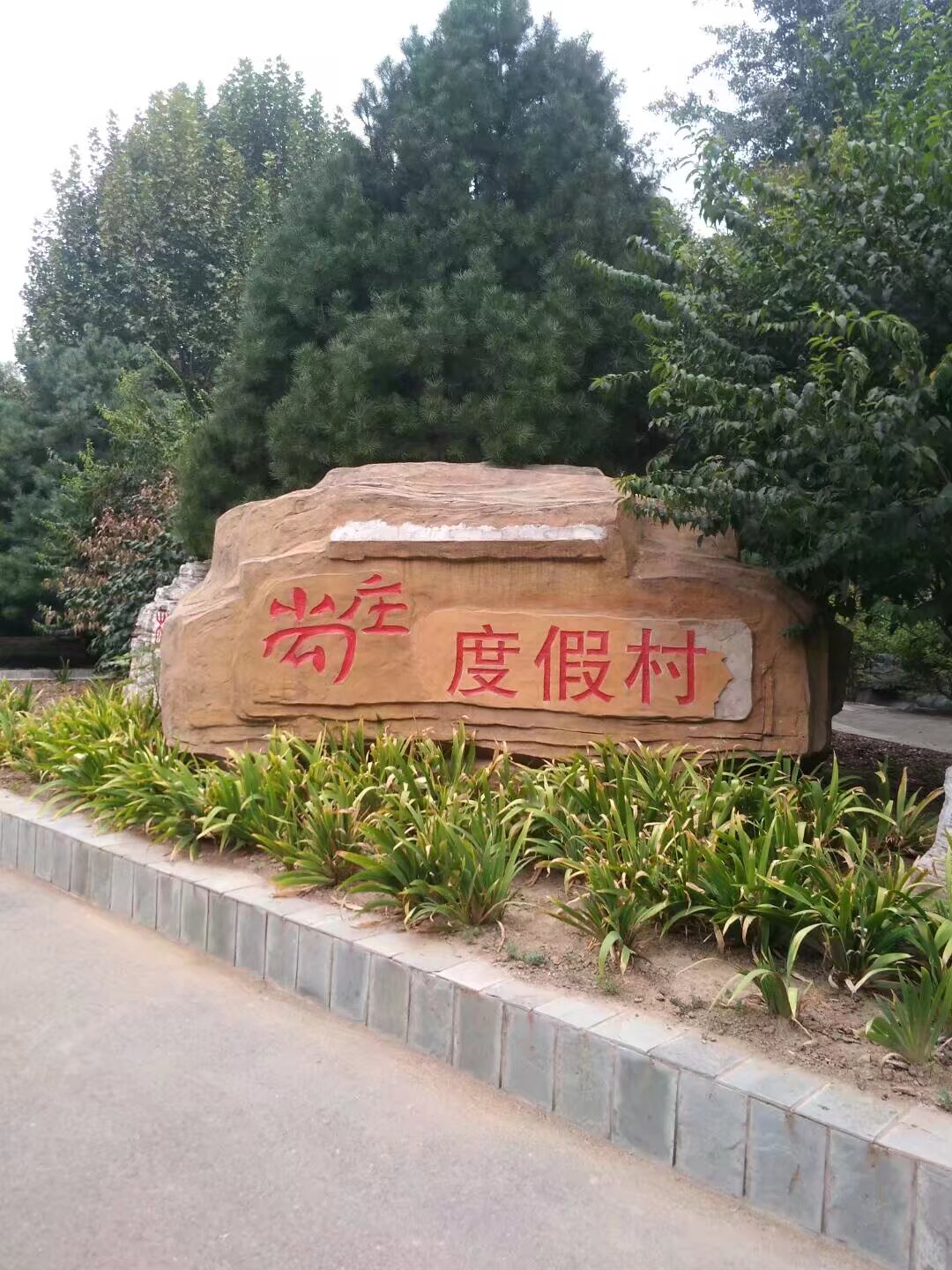 cnyjfs.com