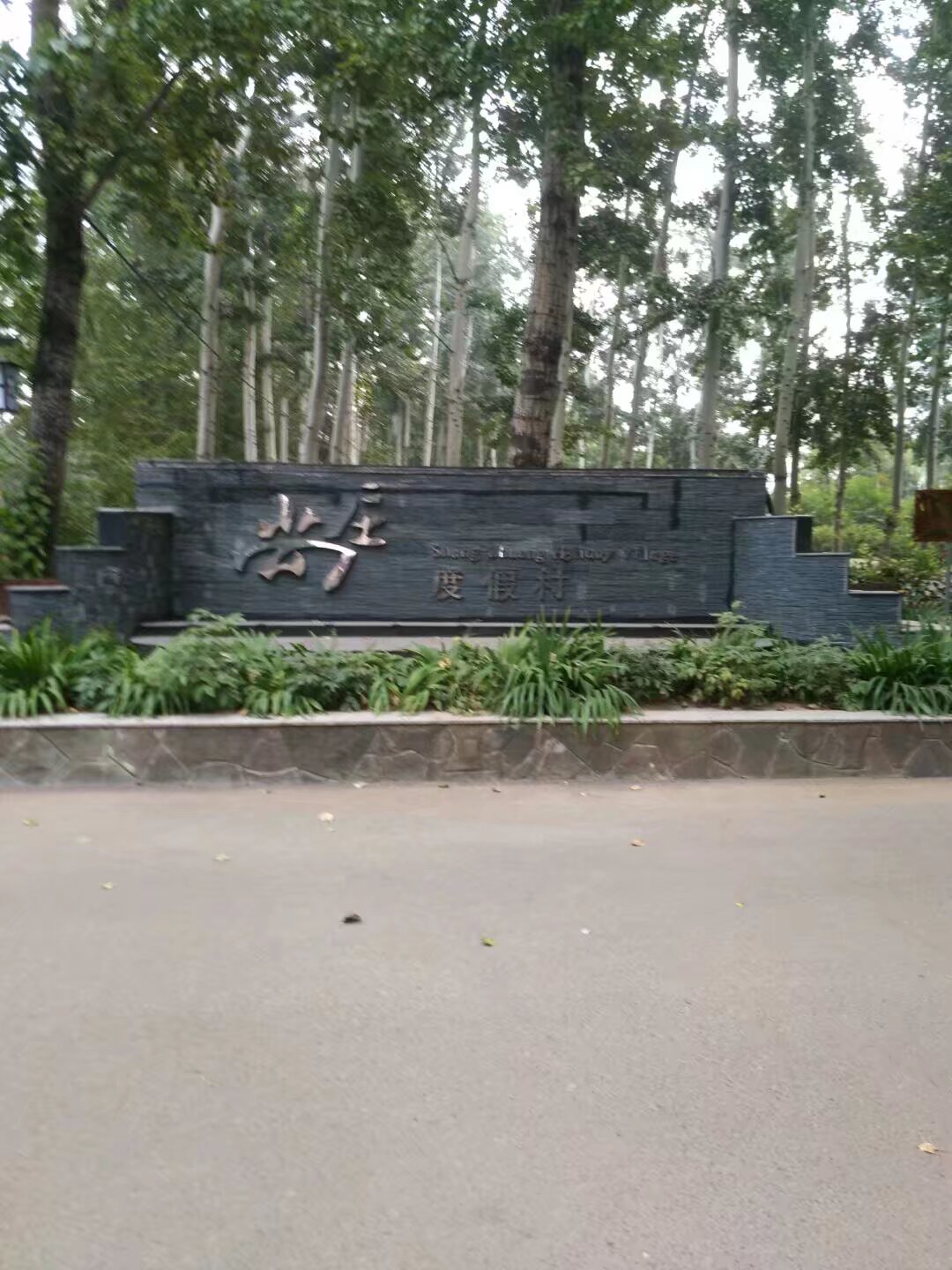 cnyjfs.com
